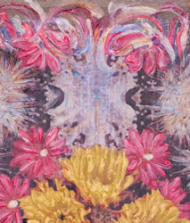 d&eacute;tail Th&eacute;ocachamelor