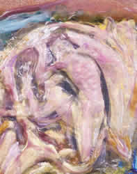 Clara &eacute;toile stimulante