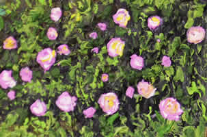 d&eacute;tail triptyque