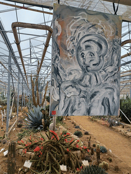 animation cactuseraie