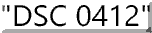 DSC 412